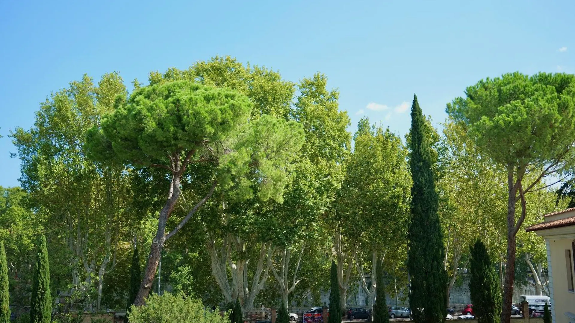 Apartment Livia86 - Trastevere Rome